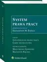 eBook System prawa pracy. Tom III. Indywidualne prawo pracy. Część szczegółowa - Małgorzata Gersdorf