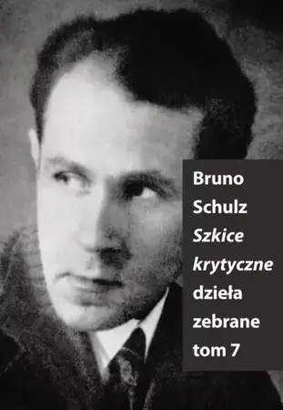 eBook Szkice Krytyczne - Bruno Schulz mobi epub