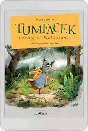 eBook Tumfacek i Zbieg z Okoliczności - Jakub Garstka