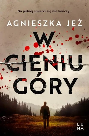 eBook W cieniu góry - Agnieszka Jeż epub mobi