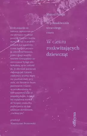 eBook W cieniu rozkwitających dziewcząt - Marcel Proust mobi epub