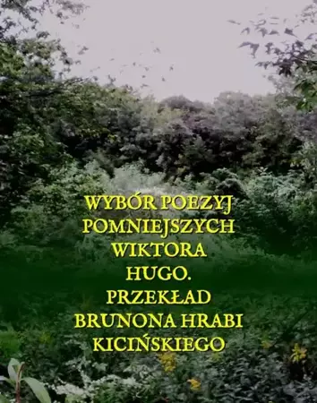 eBook Wybór poezyj pomniejszych Wiktora Hugo - Wiktor Hugo mobi epub