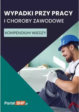 eBook Wypadki przy pracy i choroby zawodowe. Kompendium wiedzy - Praca Zbiorowa mobi epub