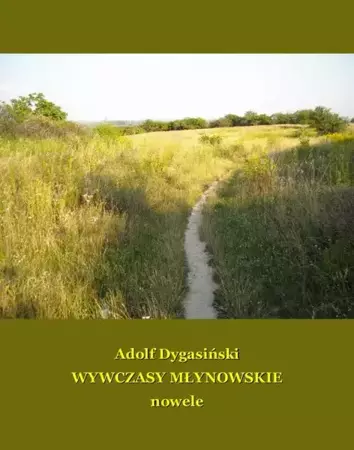 eBook Wywczasy Młynowskie. Nowele - Adolf Dygasiński mobi epub