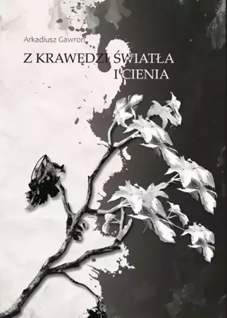 eBook Z krawędzi światła i cienia - Arkadiusz Gawron epub mobi