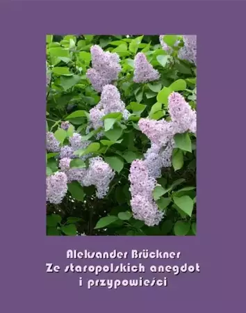 eBook Ze staropolskich anegdot i przypowieści - Aleksander Brückner epub mobi