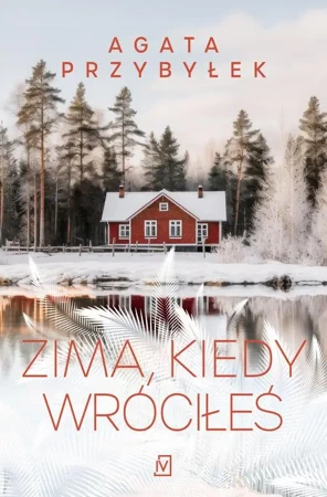 eBook Zima, kiedy wróciłeś - Agata Przybyłek epub mobi