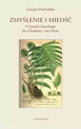eBook Zmyślenie i miłość O listach Goethego do Charlotty von Stein - Lucjan Puchalski epub mobi